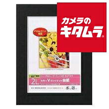 ナカバヤシ Digio カラーVカットマットダイシ ブラック DGVM-2L-D