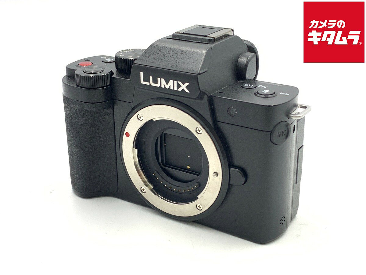PANASONIC LUMIX DC-G100D