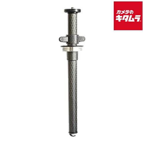 GITZO 三脚アクセサリー システマティックカーボンセンターポ