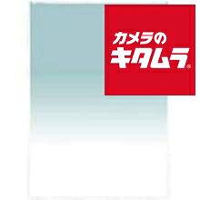 乐天商城 - HCL グラペB2‐26 スカイブルー