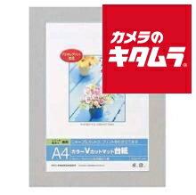 ナカバヤシ Digio カラーVカットマットダイシ グレー DGVM-A4-N