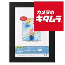 ナカバヤシ Digio カラーVカットマットダイシ ブラック DGVM-A4-D