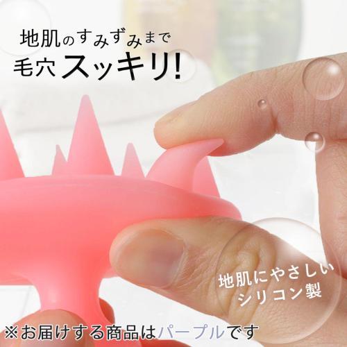 ��¼���� ���ꥳ�󥷥��ס��֥饷 �ѡ��ץ�