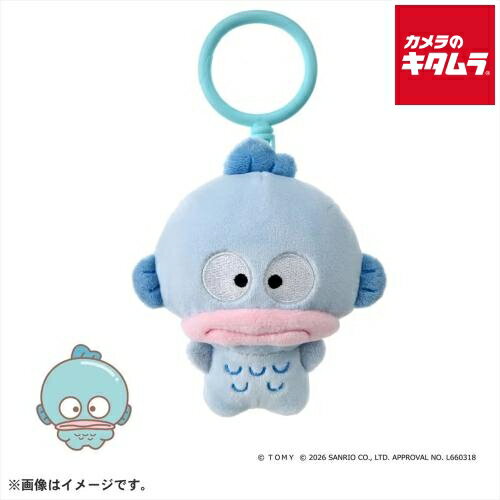 タカラトミー ぷにコミュ ぷにぬいキーチェーン ハンギョドンのぷにるんず 《2026年6月27日発売 ...