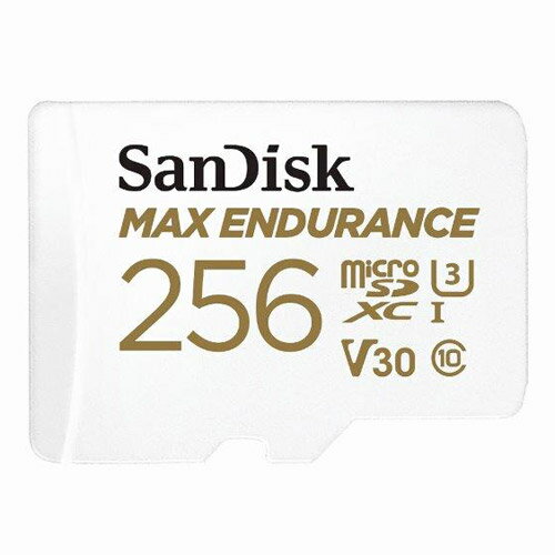 TfBXN SDSQQVR-256G-JN3ID MAX EnduranceϋvJ[h 256GB s[2|3Tԁt