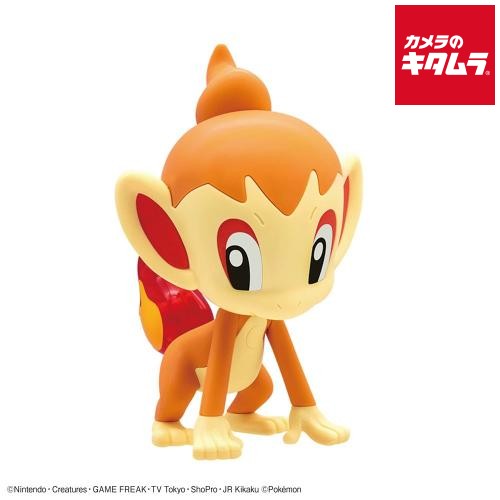 楽天市場】ヒコザル（関連作品ポケットモンスター）の通販