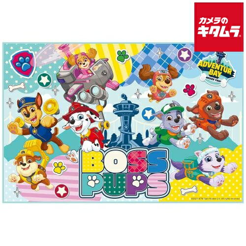 Leisure Sheet - スケーター VS1-723155 レジャーシート パウ パトロール