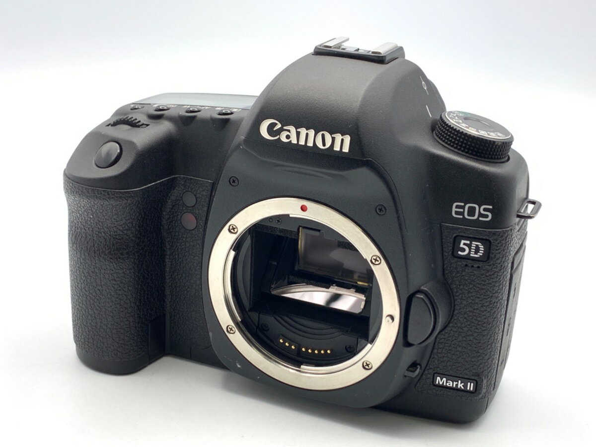 【中古】 【並品】 キヤノン EOS 5D Ma