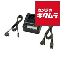 ソニー ACアダプターチャージャー AC-VQV10 《納期約1週間》 ソニー ACアダプターチャージャー AC-VQV10 《納期約1週間》