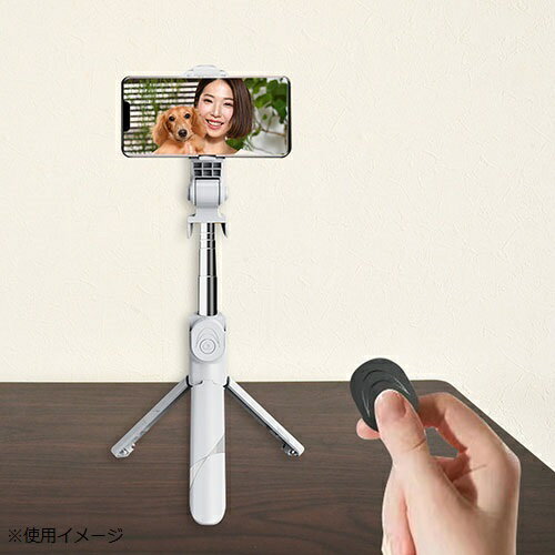 �ǥ�������� DL-R07WH �磻��쥹���ӥ��륫�� �ۥ磻��