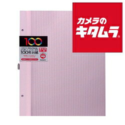 ナカバヤシ アH-A4FR-5-P 100年台紙 フリー替台紙 ビス式2穴 A4 5枚 ピンク