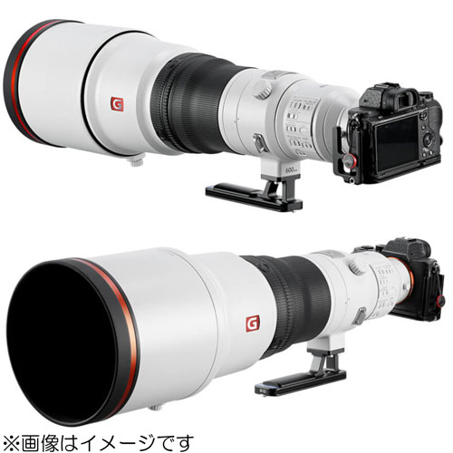 �쥪�ե��� SF-03 ��󥺥եå�