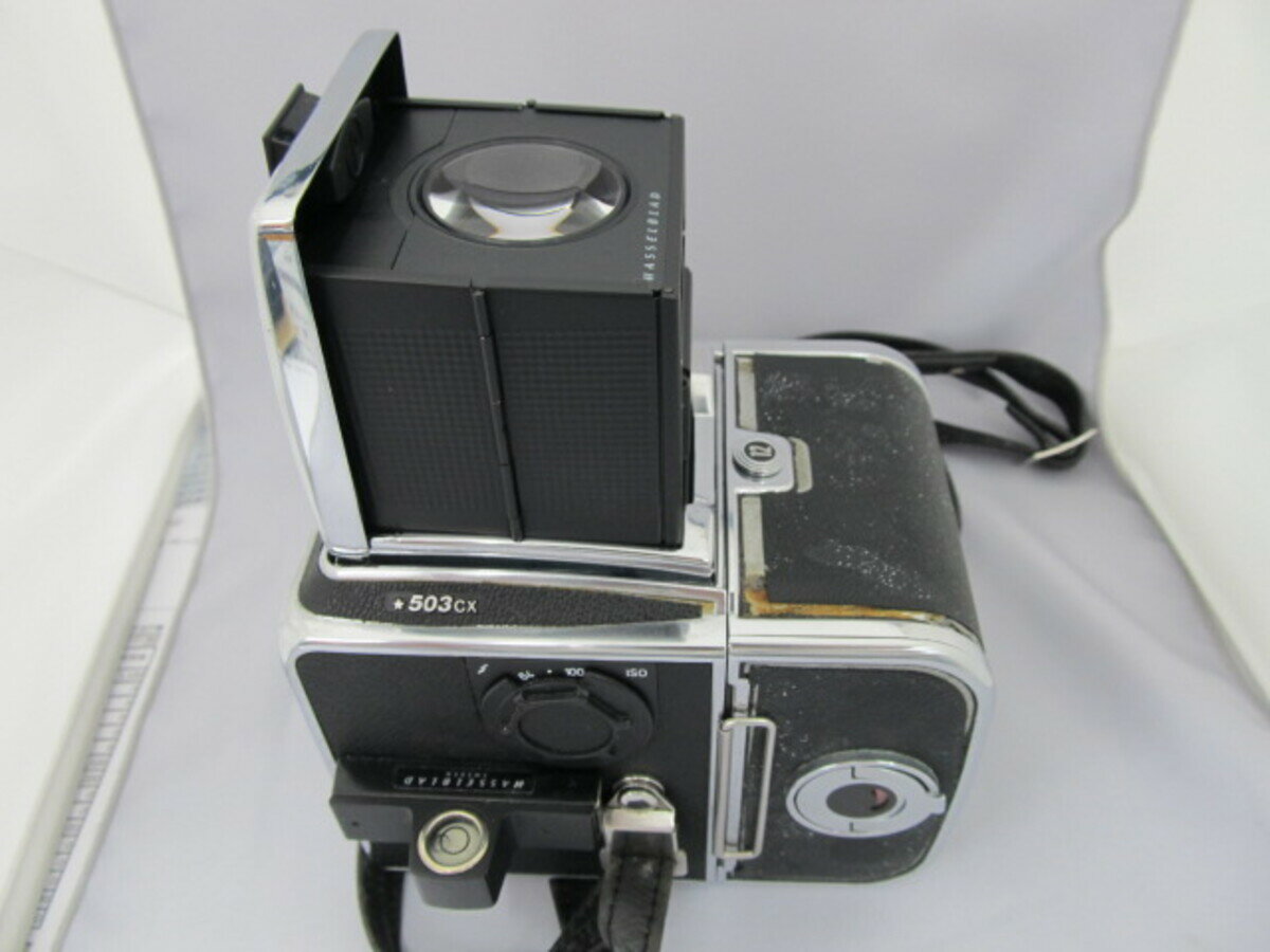 ����š� �����ʡ� �ϥå���֥�å� 503CX �ܥǥ� A12�� �ڥե���५����