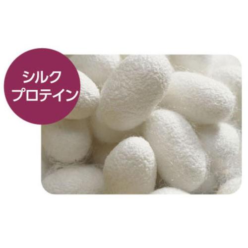 �饤����ڥå� Quick & Rich �ȥ꡼�ȥ��ȥ��󥷥��ס������� ������ ��ե�å��奵�ܥ� 20�� ��Ǽ����2���֡�