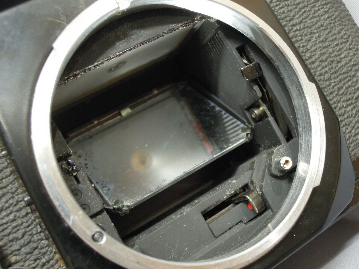 ����š� ���񤢤��ʡ� ����Υ� EF �ܥǥ� �ڥե���५����