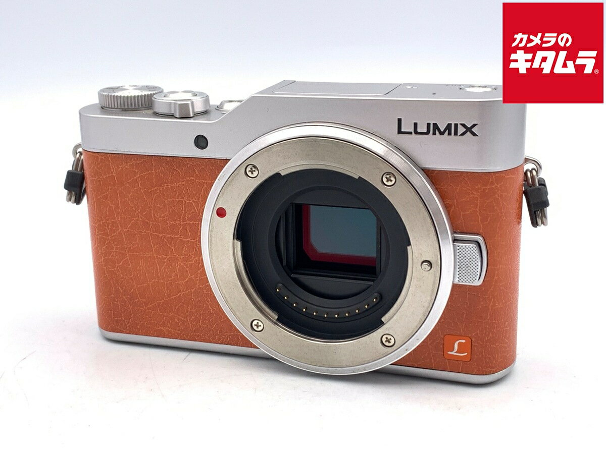 ⭐Panasonic Lumix GF 9 ボディ⭐ブラウン⭐送料無料❤️ 楽天市場】gf9 ボディの通販