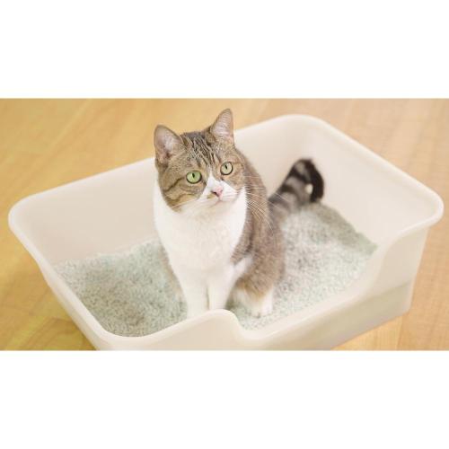 ライオンペット 獣医師開発 ニオイをとる砂専用 猫トイレ 《納期約1－2週間》