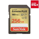 サンディスク Extreme PLUS SDXC UHS-Iカード 2...(2)