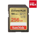 TfBXN Extreme PLUS SDXC UHS-IJ[h 256GB SDSDXWA-256G-JNJIP s[2Tԁt