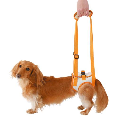 ペティオ 老犬介護用 歩行補助ハーネス 後足用K M 《納期約2週間》