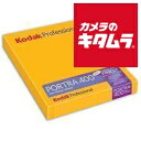 コダック プロフェッショナルポートラ 400 4×5 10枚入(2)