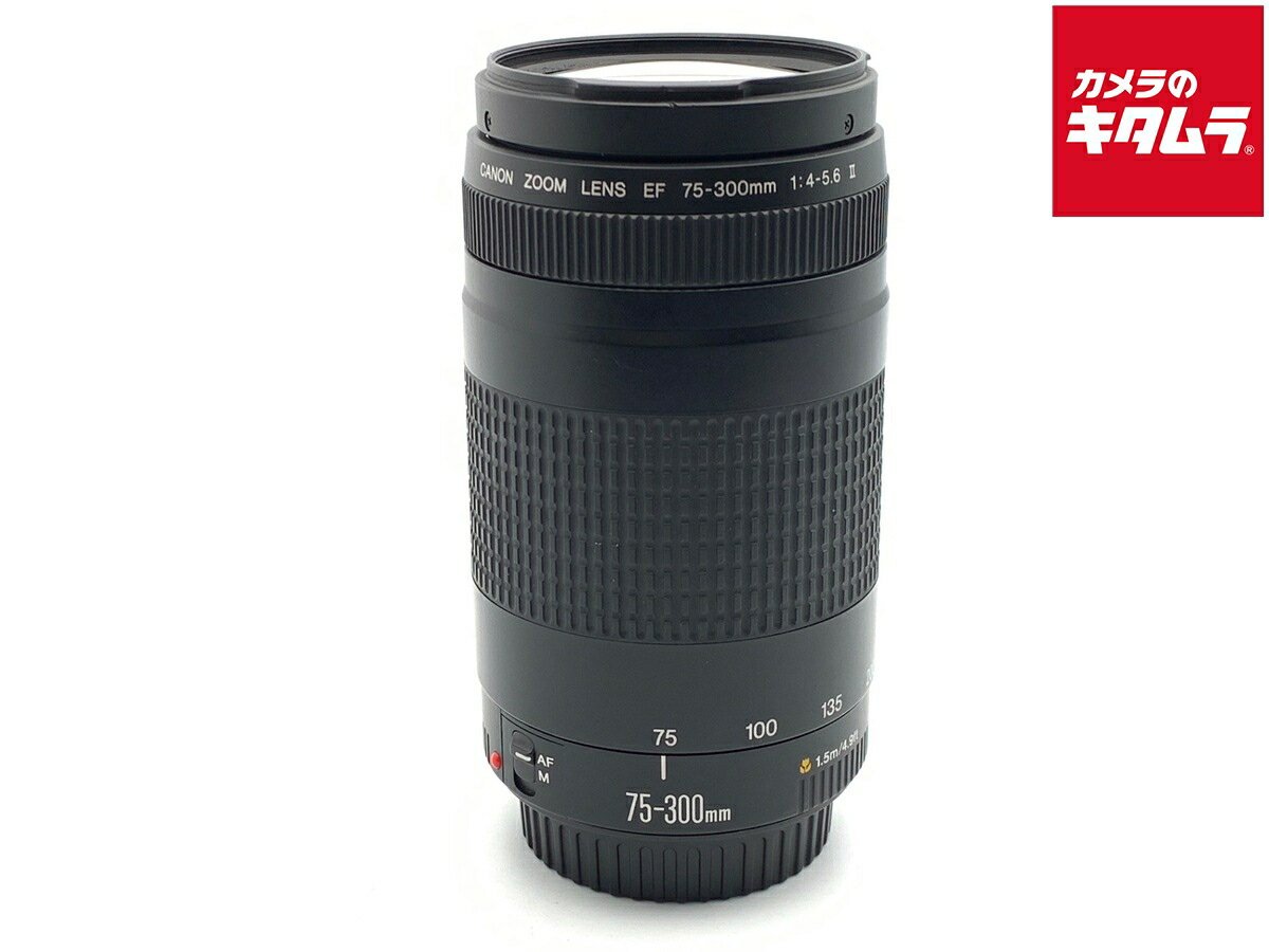 楽天市場】ef75－300 4-5.6 フィルターの通販