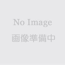 フジカラー アルミ額 A32 Z シルバー 《納期約1-2週間》 [2]