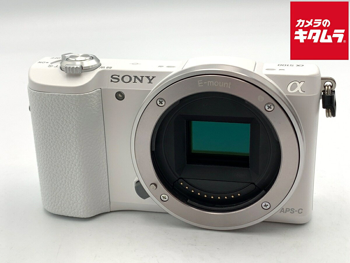 楽天市場】sony α5100 ブラウンの通販