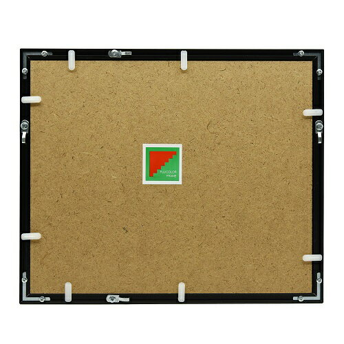 フジカラー アルミ額 YA-6 全紙 ブラック 《納期約1-2週間》