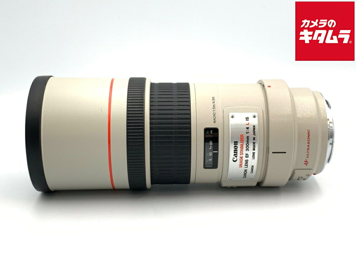 CANON EF 300mm F4L IS USM