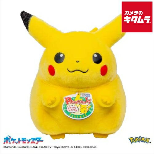 タカラトミー ポケットモンスター ポケモン30周年記念 おかえり！ピカチュウ1/1