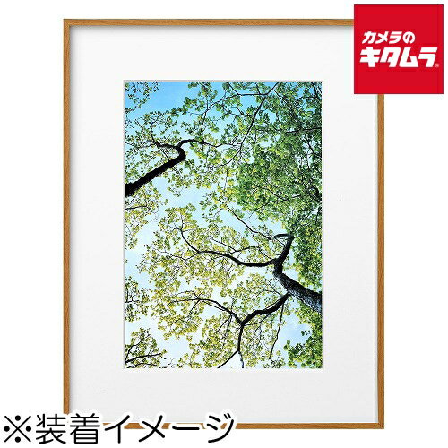 Plastic Frames - ハクバ FZG01-A4NT ZEROフレーム ナチュラル A4サイズ