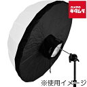プロフォト 100994 アンブレラ S用バックパネル 《納期約1-2週間》