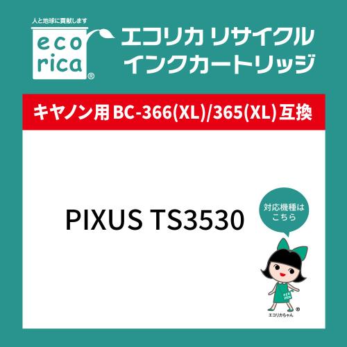 エコリカ ECI-C366C キヤノン BC-366互換リサイクルインクカートリッジ 3色一体型 《納期約3－4週間》