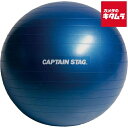 キャプテンスタッグ(CAPTAINSTAG) UR-862 フィットネスボール φ65cm ヨガボール ブルー(4)
