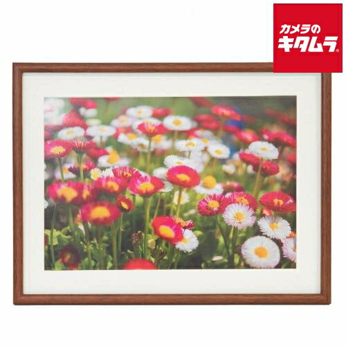フジカラー 木製額 M21 ブラウン W4切 《納期約1－2週間》