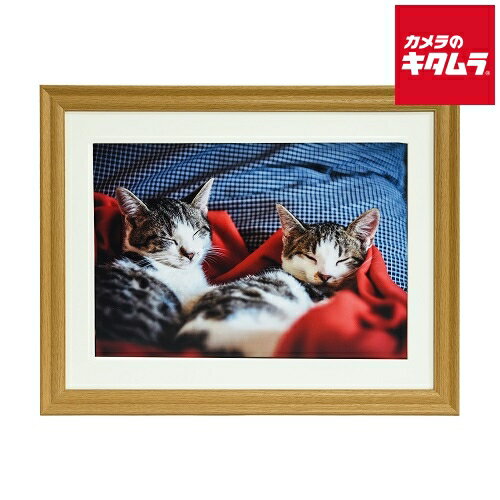 楽天市場】フジカラーフレーム m13の通販