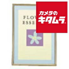 ラドンナ BK1-C ブラスフレーム 2L版 《納期約1－2週間》