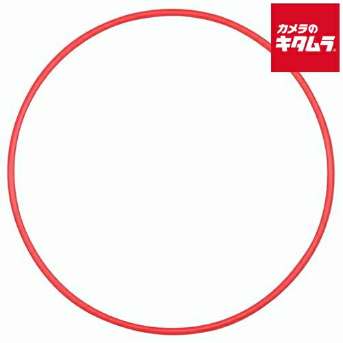 オリンパス PT-EP13用Oリング POL-EP13 《納期約1－2週間》