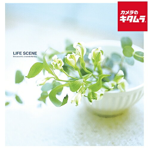 ナカバヤシ LPF-1001-B フエルアルバム Lサイズ ライフシーン ブルー
