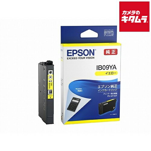 エプソン IB09YA インクカートリッジ イエロー 標準インク 《納期約3週間》 エプソン IB09YA インクカートリッジ イエロー 標準インク 《納期約3週間》