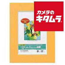 ナカバヤシ Digio カラーVカットマットダイシ ハガキサイズ（A6）オレンジ DGVM-A6-O