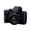 パナソニック LUMIX DC-G100DK-K 標準ズ