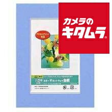 ナカバヤシ Digio カラーVカットマットダイシ ハガキサイズ（A6）ブルー DGVM-A6-B