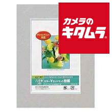 ナカバヤシ Digio カラーVカットマットダイシ ハガキサイズ（A6）グレー DGVM-A6-N