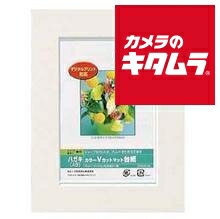 ナカバヤシ Digio カラーVカットマットダイシ ハガキサイズ（A6）ホワイト DGVM-A6-W