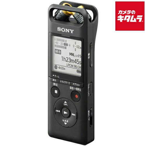 ソニー ハイレゾ対応 リニアPCMレコーダー PCM-A10 《納期約1週間》