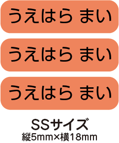 【送料無料】お名前シール・ネームシールオレンジ175枚セット(SSサイズ)「保育園・幼稚園向けお子様の持ち物に貼るタイプ」【色あせ防止】【防水】