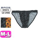 ワコール wacoal ブロス BROS GF2900 ブリーフ 男性用 メンズ ハイレッグ 前閉じタイプ 透けボーダー M L サイズ 父の日 敬老の日 プレ...