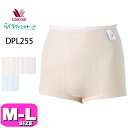ワコール wacoal DPL255 らくラクパートナー 上ばきパンツ インナー ボトムス 肌着 一枚ばき可 1分丈 涼感 身生地綿100% MLサイズ GA ...